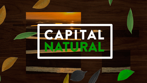 Capital Natural